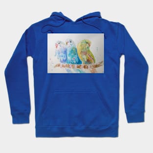 Budgie Watercolor Painting Sitting on A Branch Hoodie